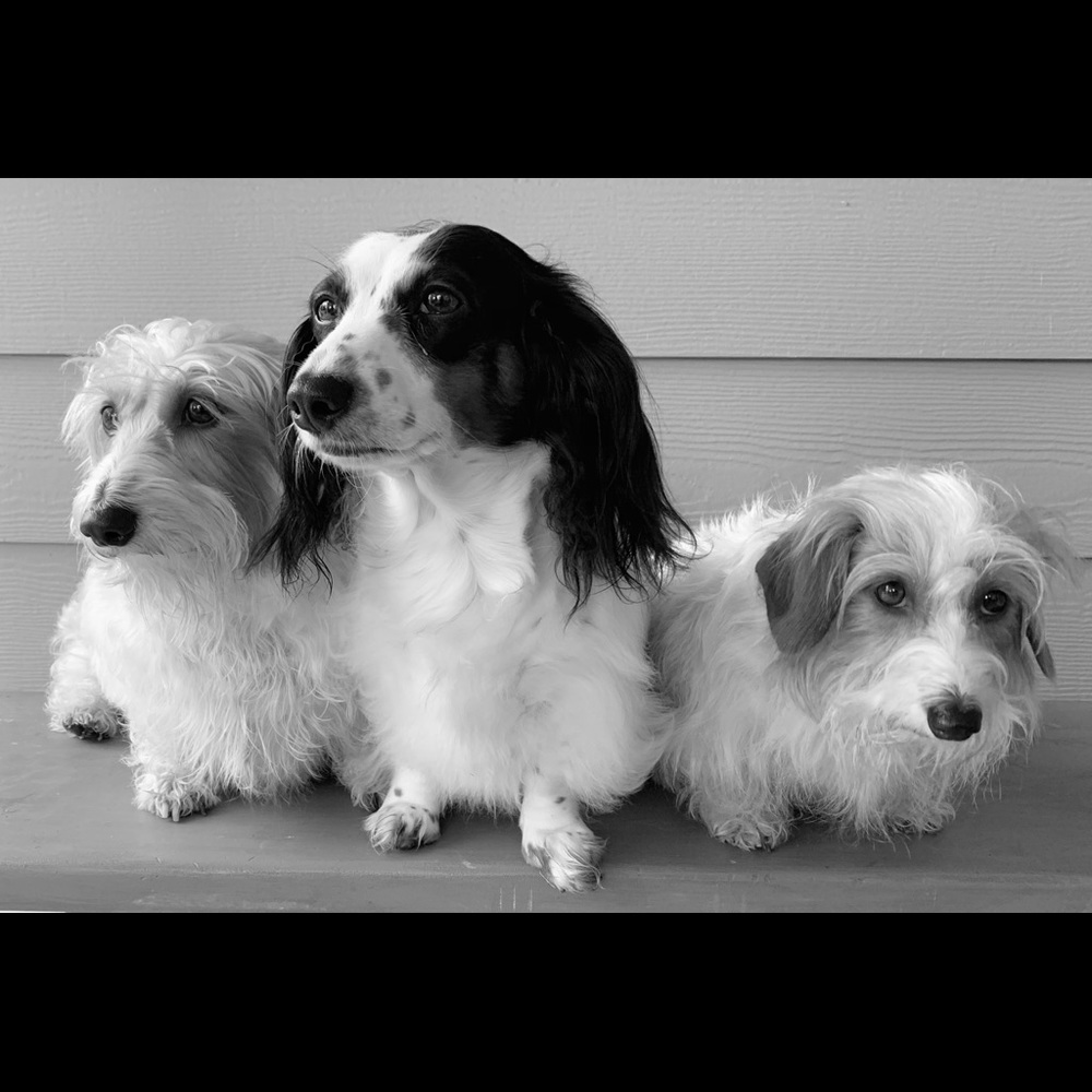 Meet your Posher, James